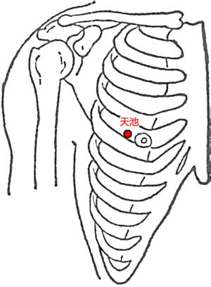 天池穴位置
